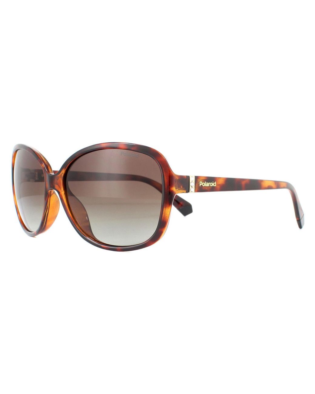Polaroid Brown Sunglasses Pld 4098/S 086 La Dark Havana Gradient Polarised