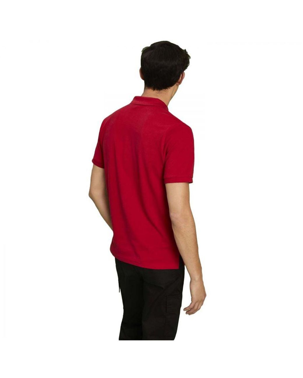 Asquith & Fox Red Plain Short Sleeve Polo Shirt (Cherry) for men