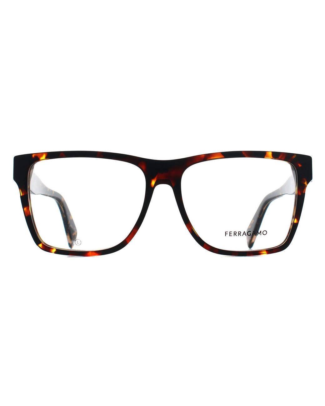 Ferragamo Black Square Dark Tortoise Sf2953N