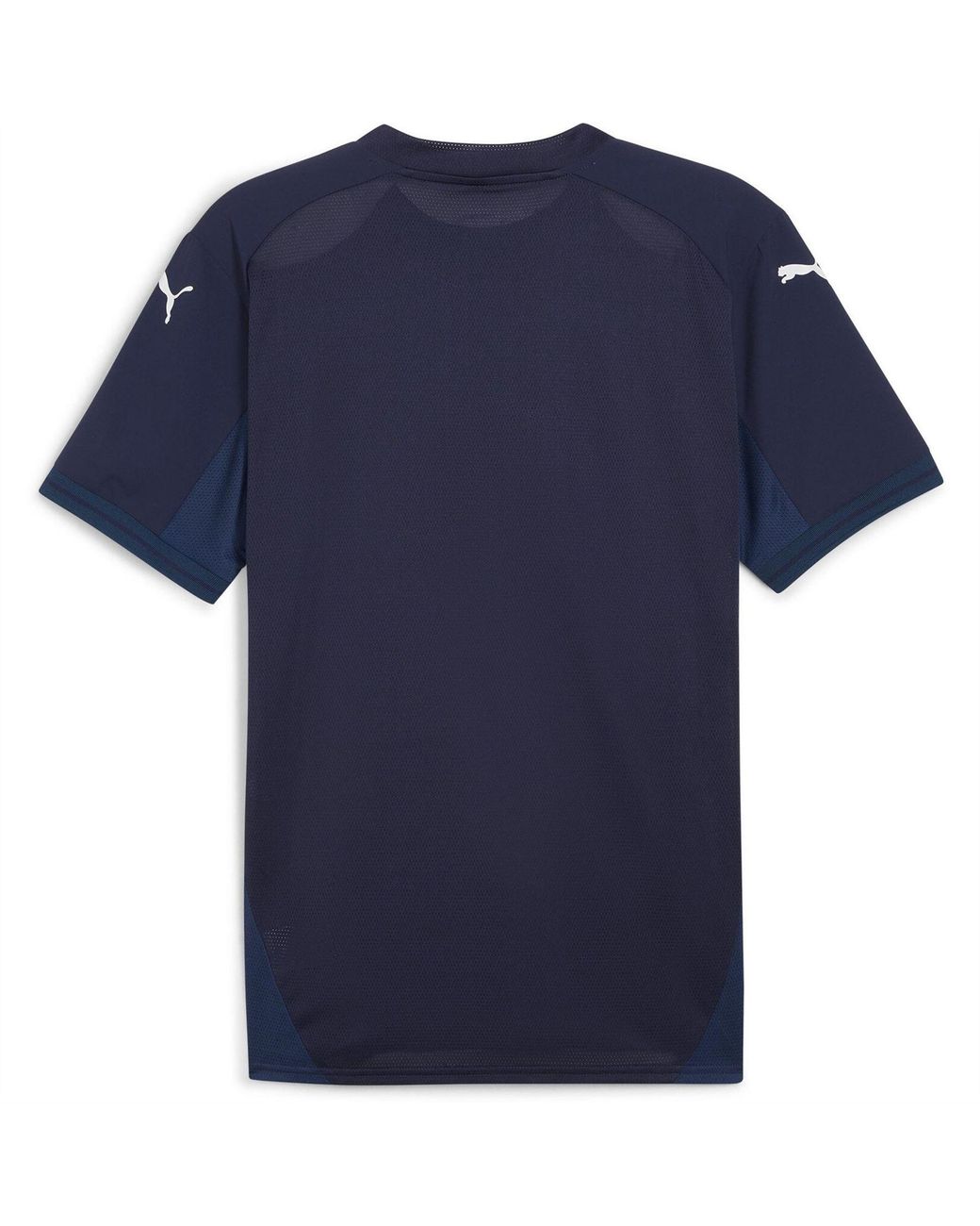 PUMA Blue Teamfinal Jersey T-Shirt for men