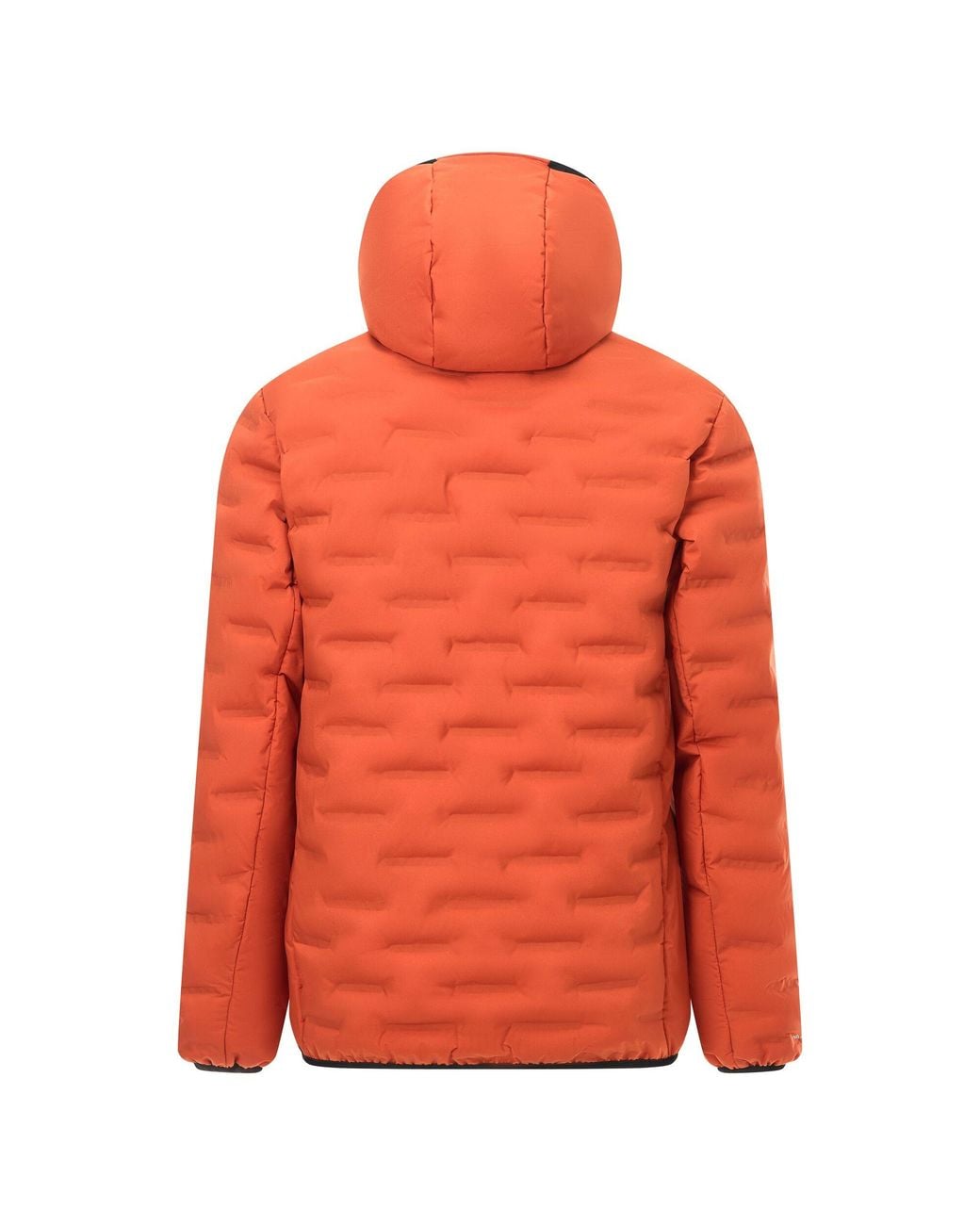 Regatta Orange Astrel Padded Jacket (Rooibos Tea) for men