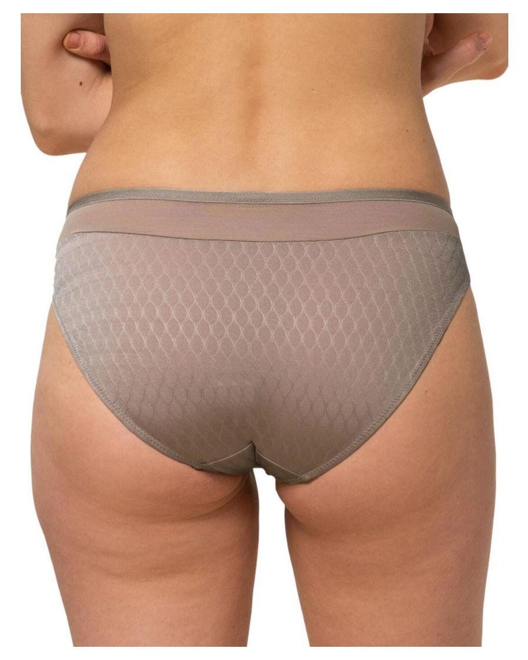Triumph Brown Azalea Florale Tai Brief