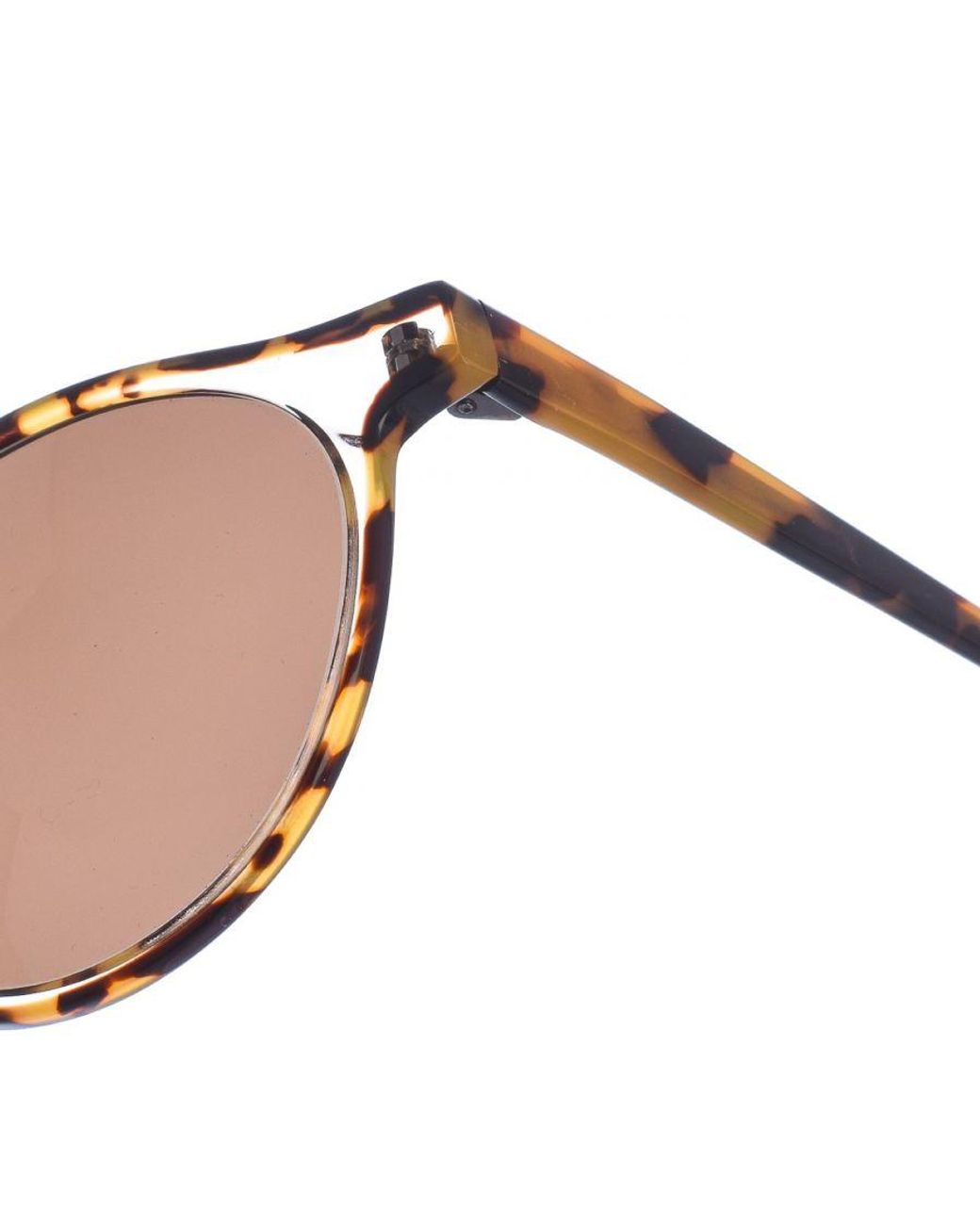 Zen Brown Z487 Pantos Shape Acetate Sunglasses