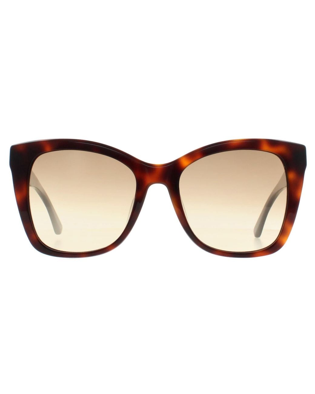 Calvin Klein Brown Butterfly Havana Gradient Ck22530S
