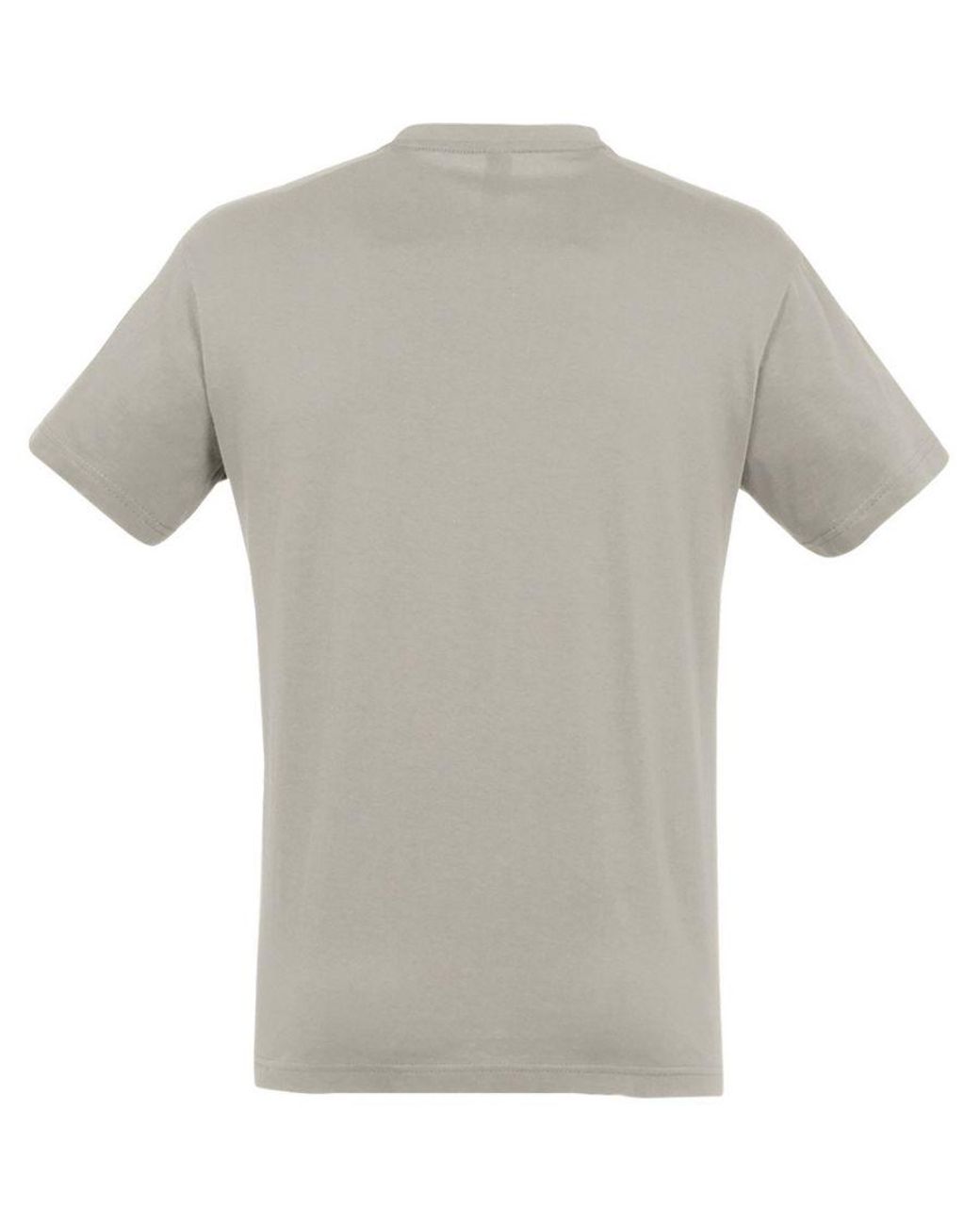 Sol's Gray Regent Short Sleeve T-Shirt (Light) for men