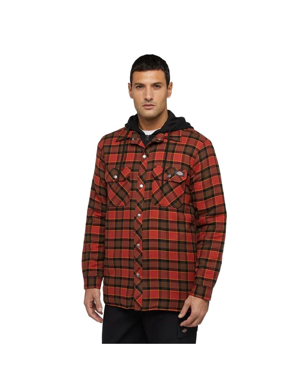 Dickies Red Flannel Hooded Shirt Ochre) Cotton for men