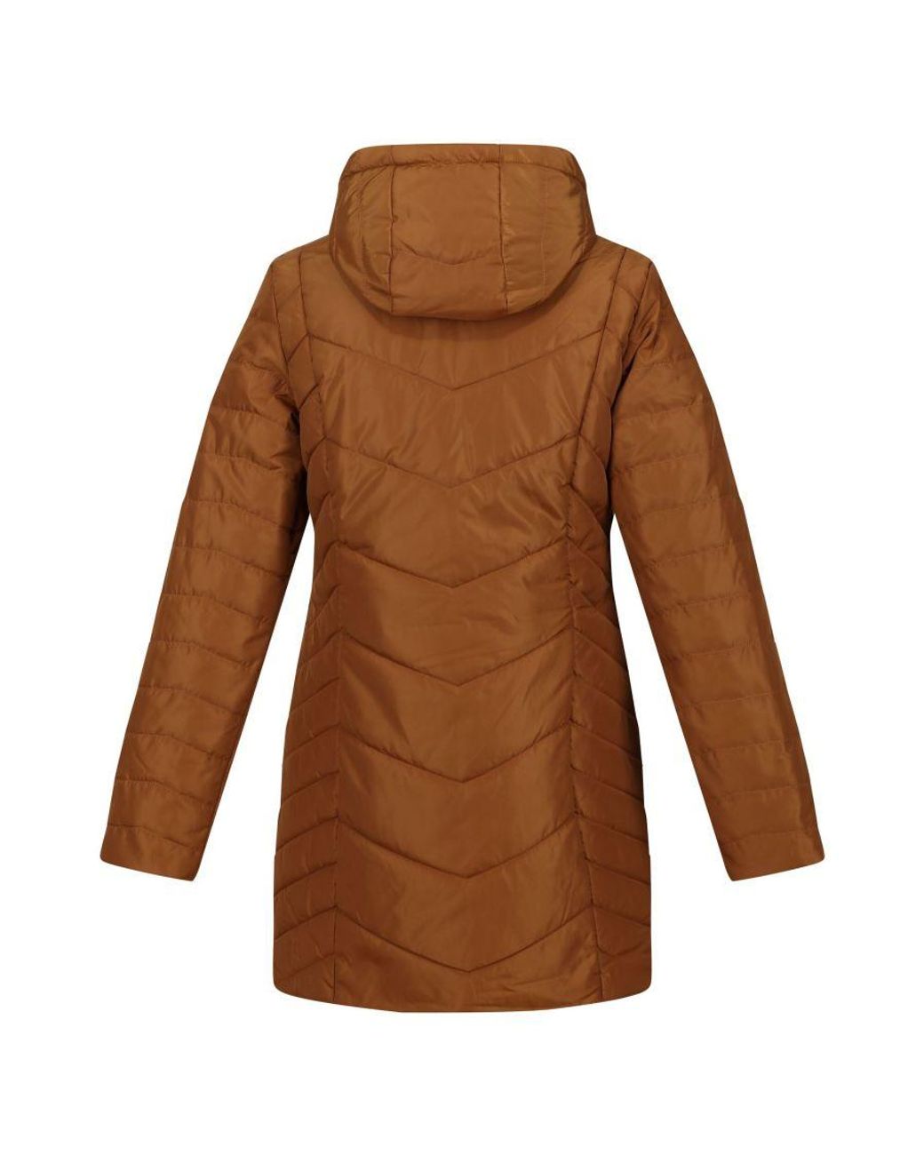 Regatta Ladies Panthea Insulated Padded Hooded Jacket (Rubber) in