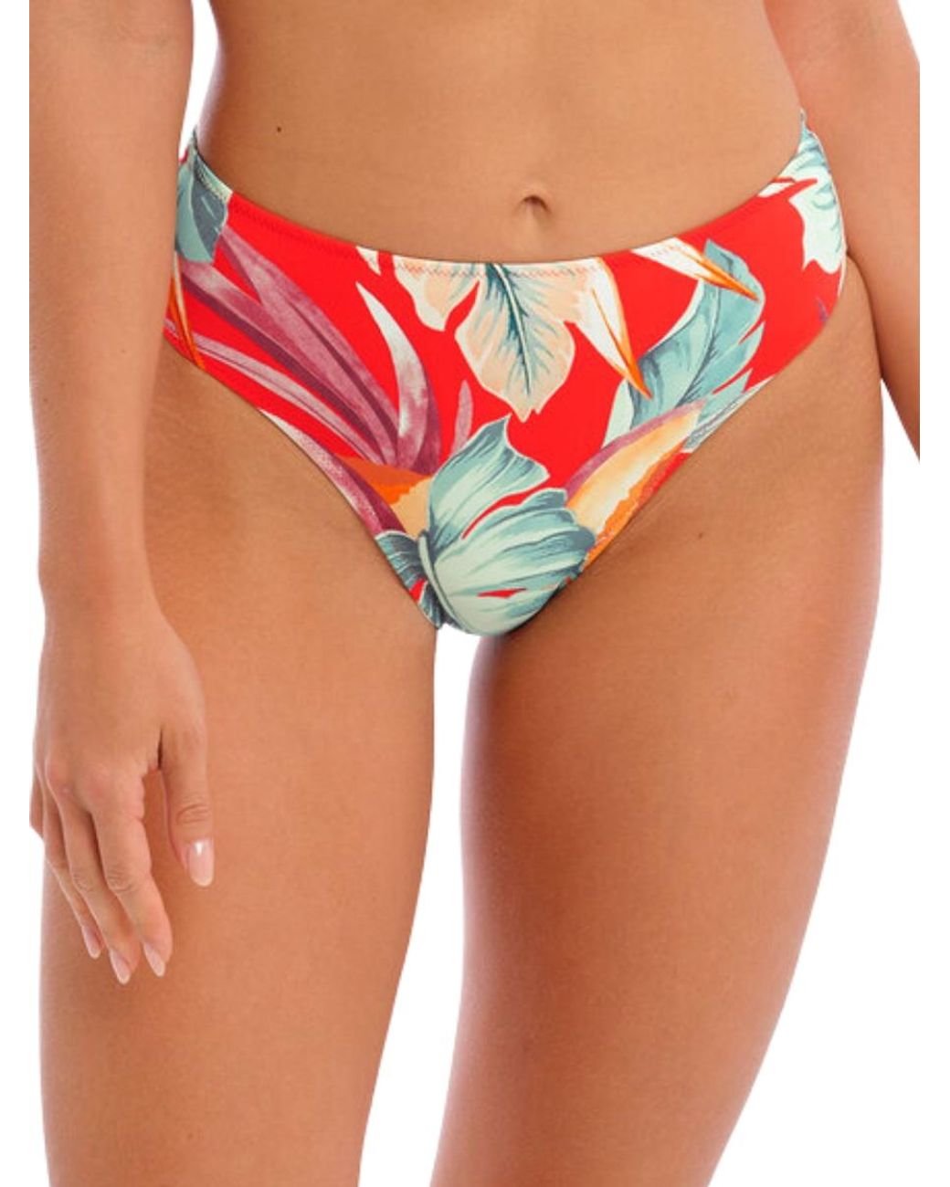 Fantasie Red Bamboo Grove Mid Rise Bikini Brief