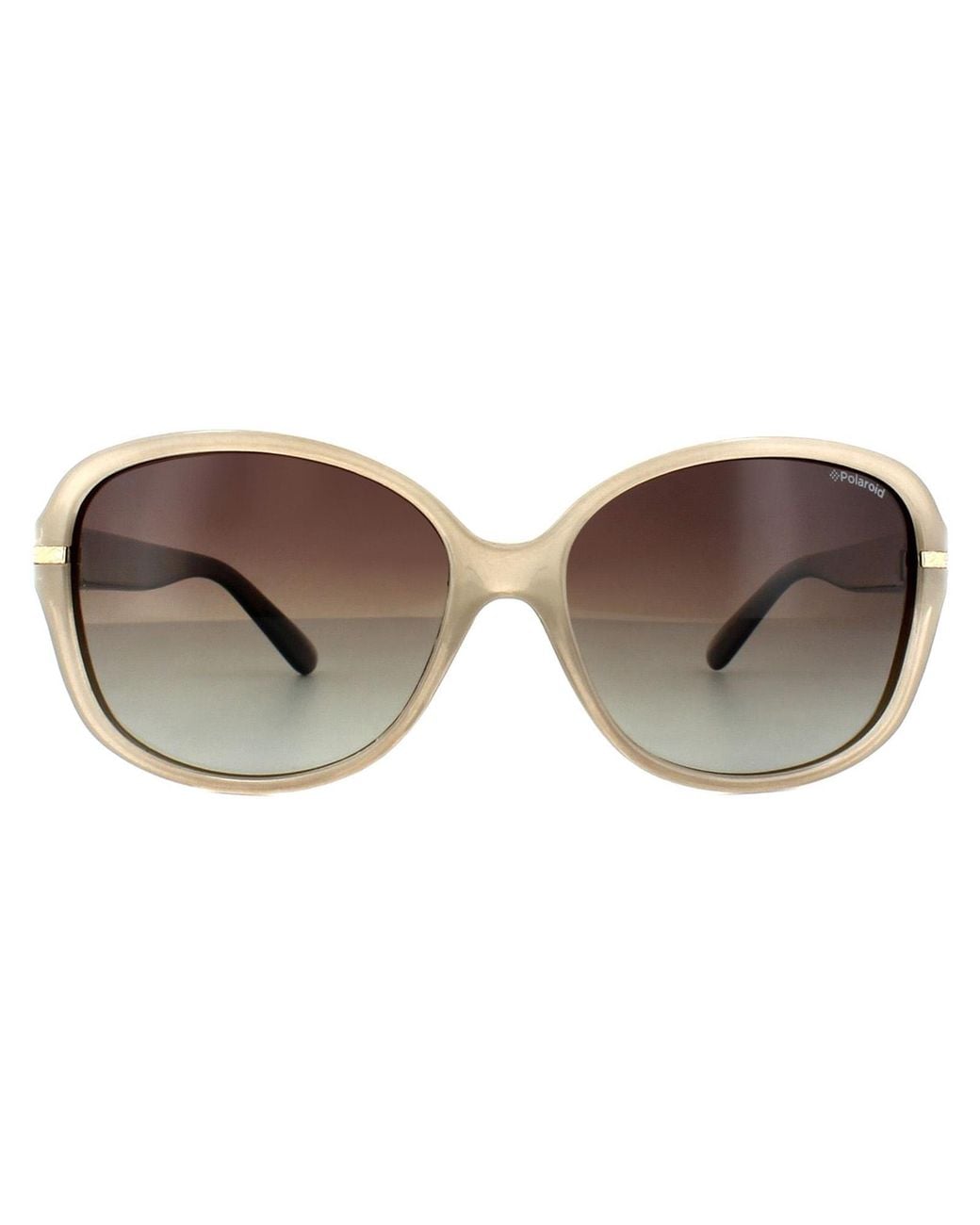 Polaroid Brown Butterfly Havana Gradient Polarized Sunglasses