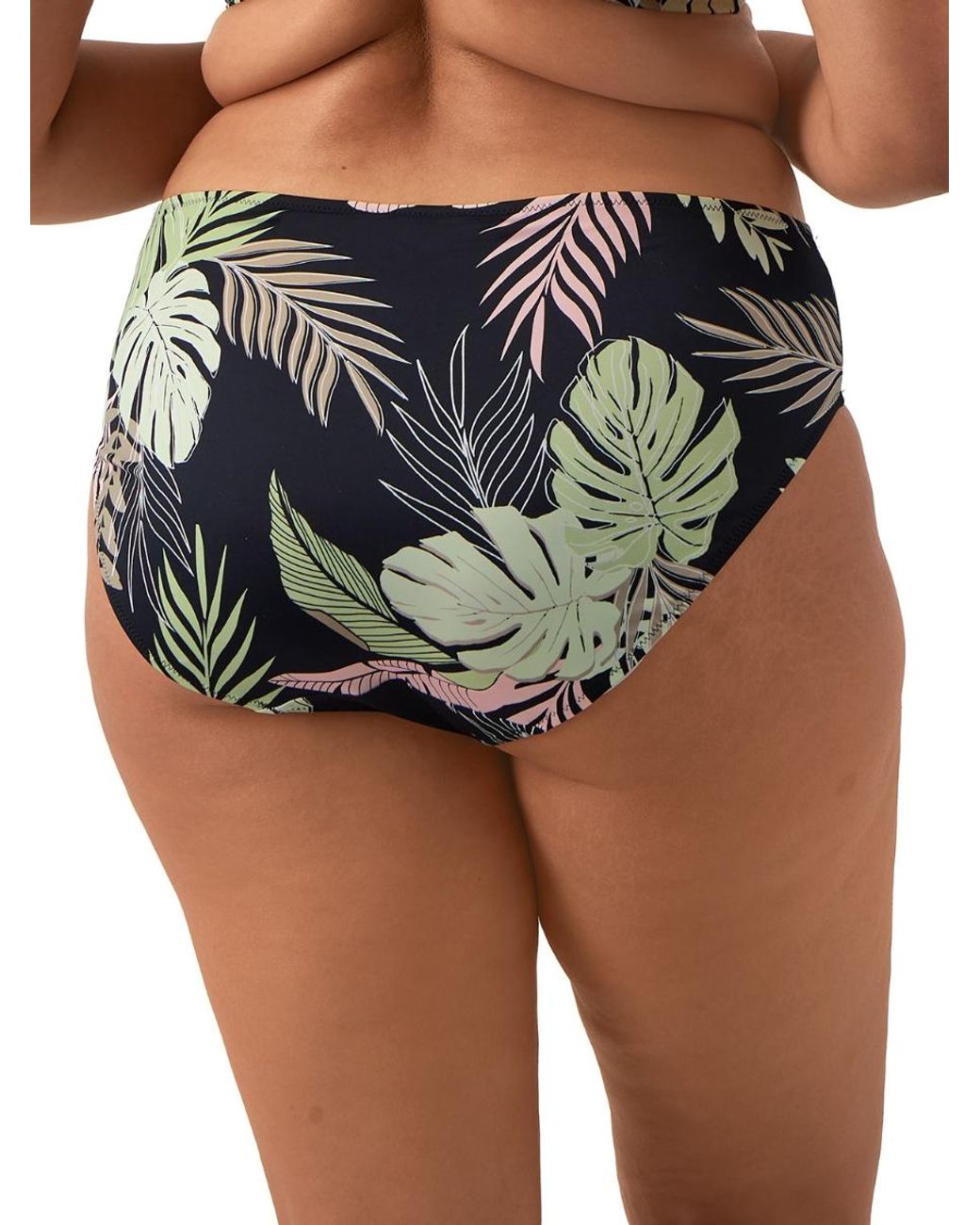 Elomi Black Tropical Retreat Bikini Brief