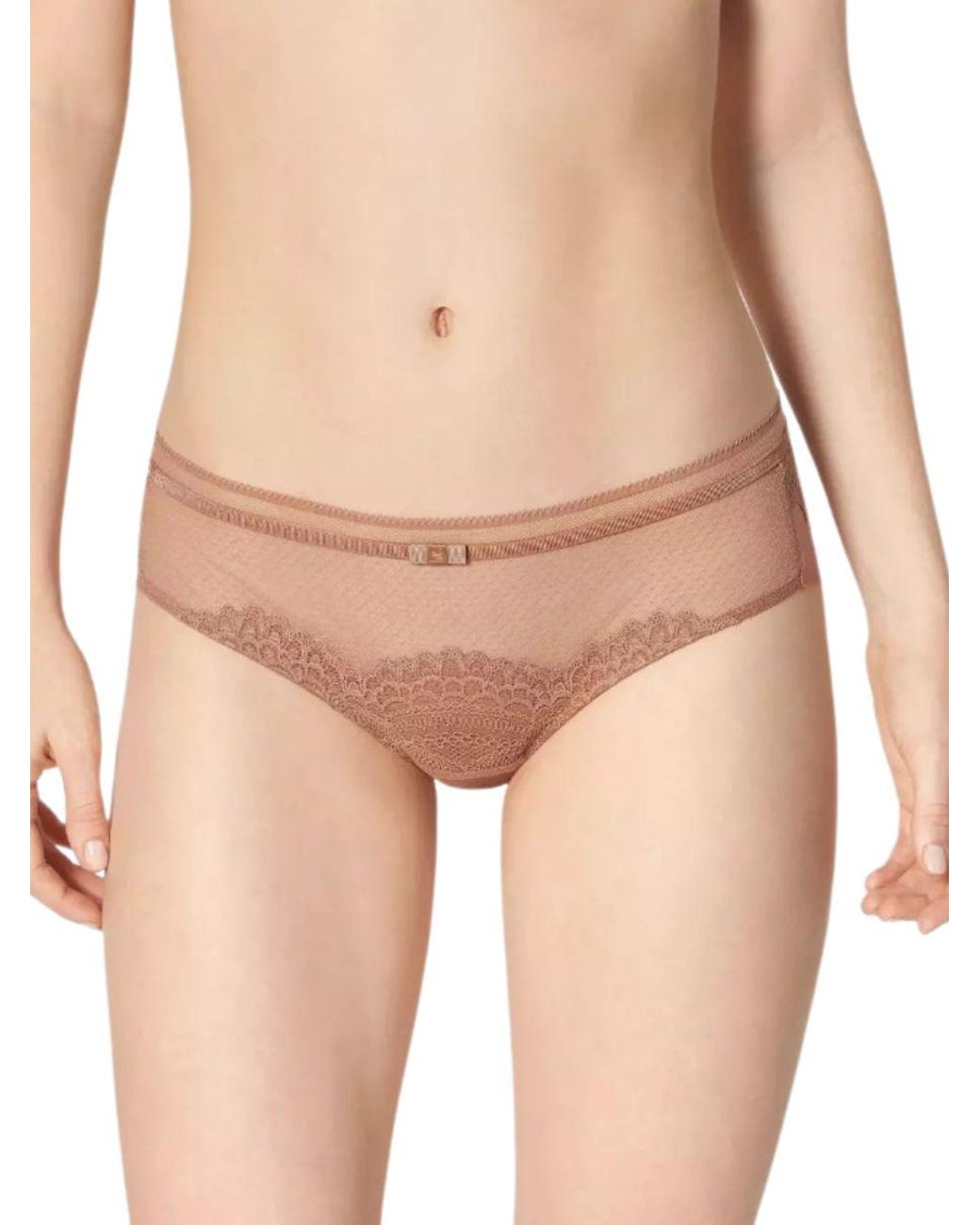 Triumph Natural Darling Spotlight Brazilian Rust