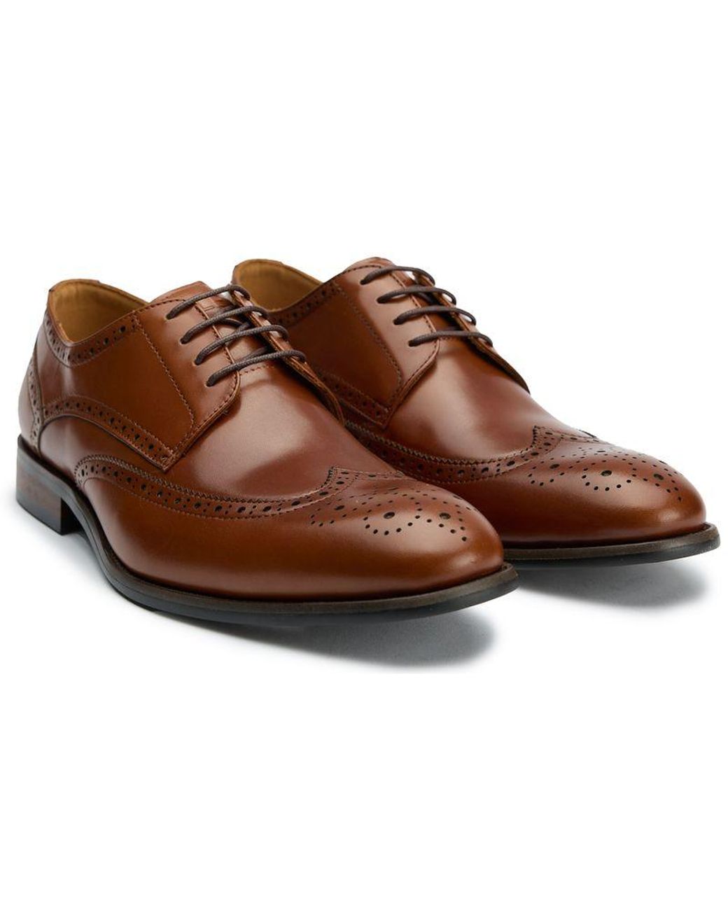 Sole Brown Ldn Hoggle Brogue Shoes for men
