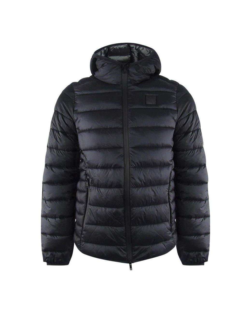 Ice Iceberg Blue Hooded Padded Jacket Nylon for men