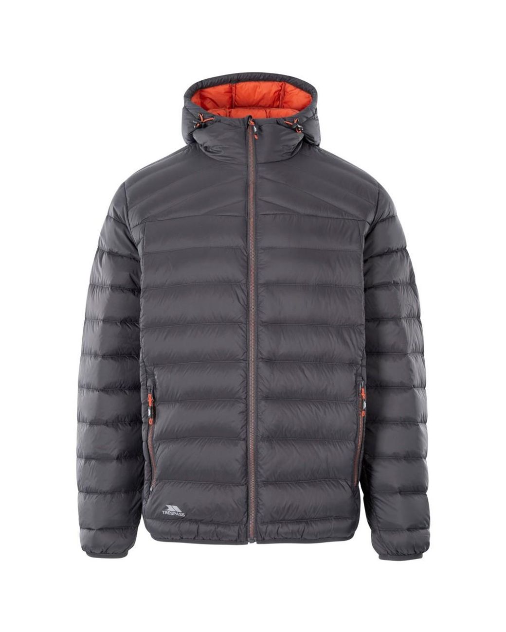 Trespass Gray Whitman Ii Down Jacket /Burnt) for men