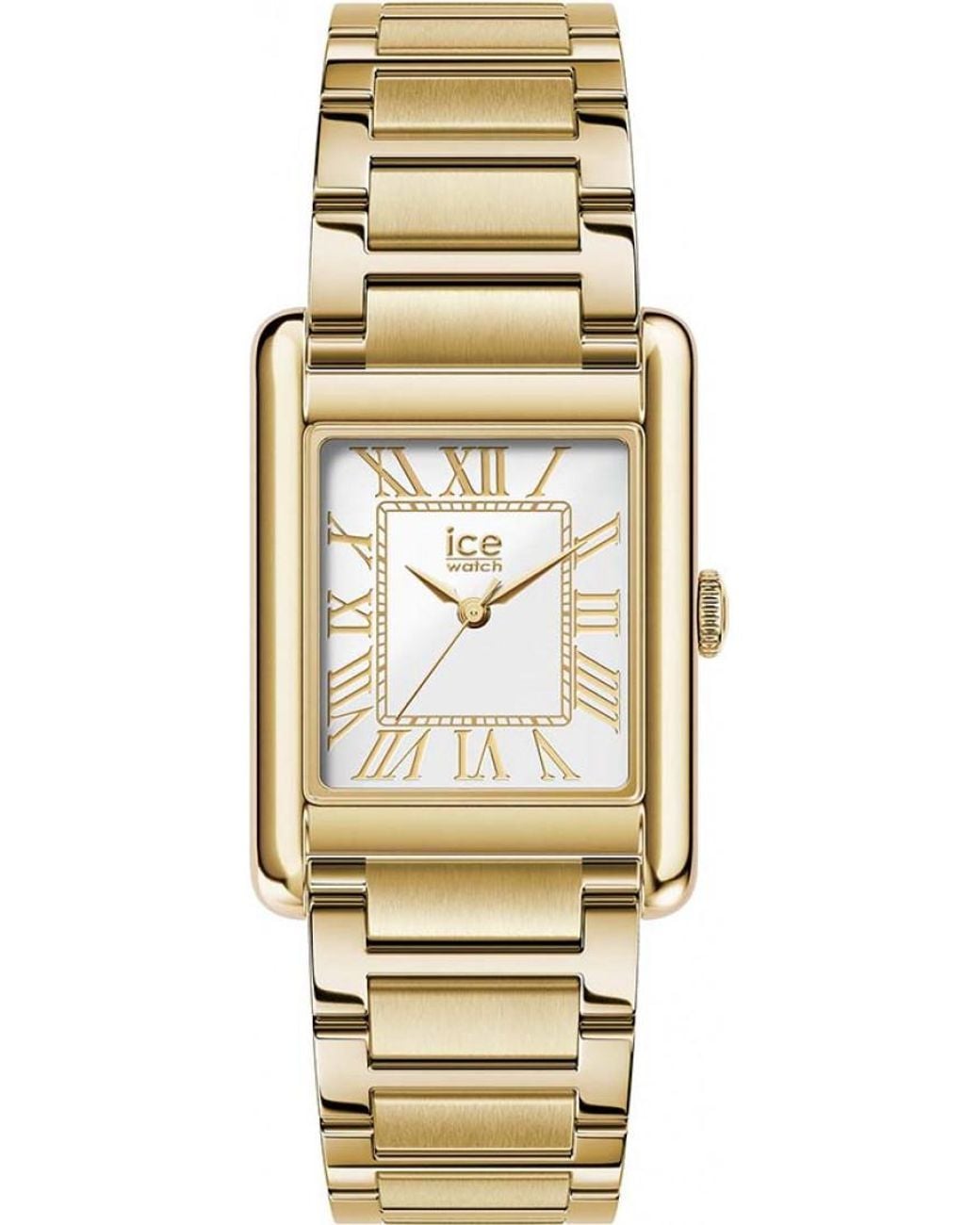 Ice-watch Metallic 025720 Ladies Ice Power Pw6 Watch