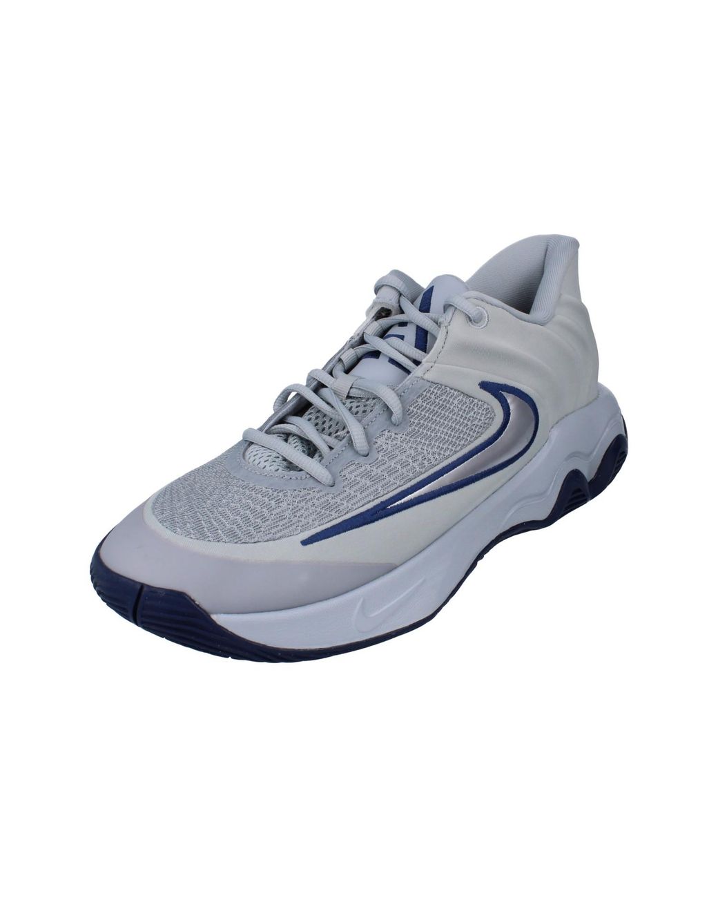 Nike Blue Giannis Immortality 4 Basketball Trainers for men