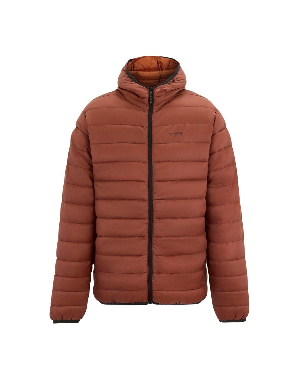 Regatta Brown Marizion Baffled Hooded Padded Jacket (Burnt Henna) for men