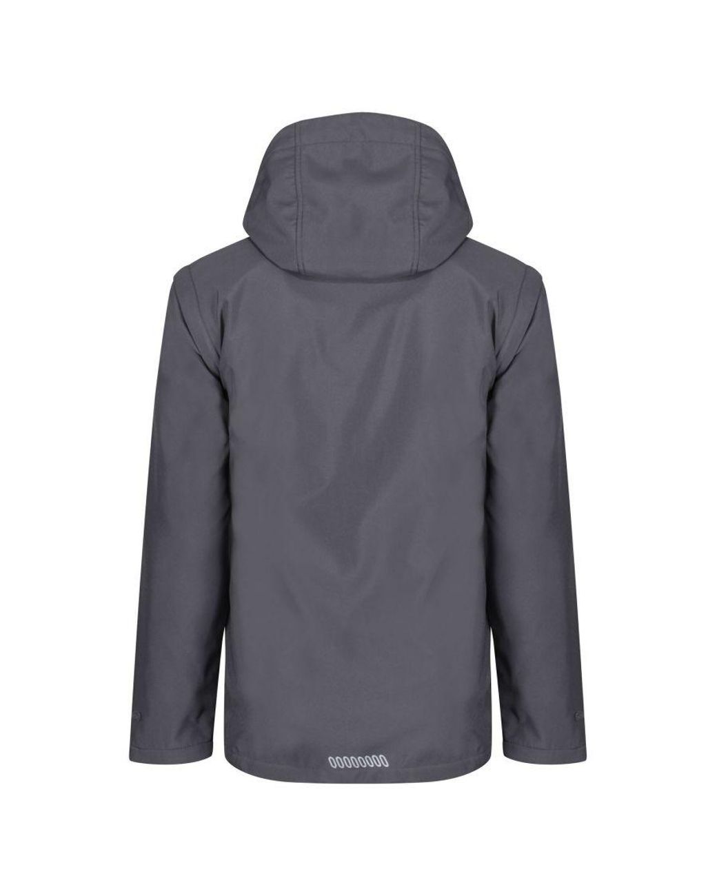 Regatta Blue Erasmus 4 for men