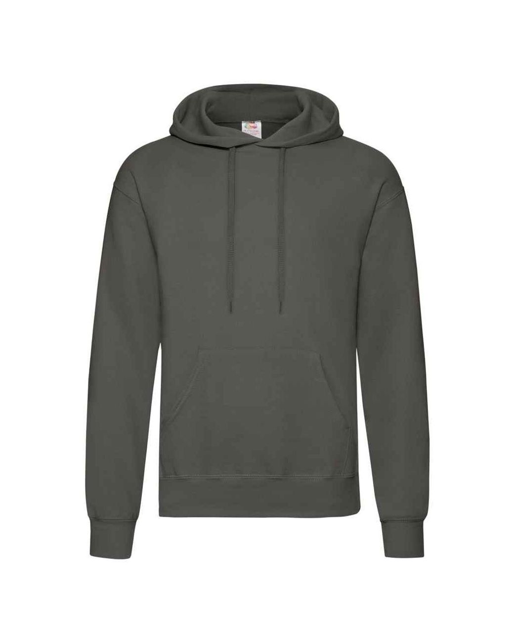 Fruit Of The Loom Gray Adults Classic Hooded Sweatshirt (Light Graphite)