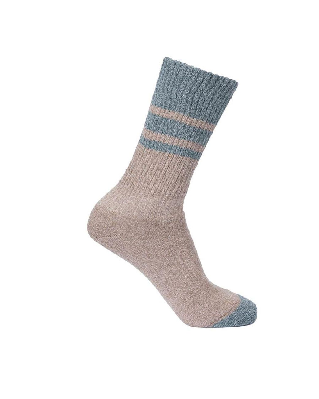 Trespass Gray Ladies Hadley Hiking Boot Socks (2 Pairs) (Spruce/Dark Cherry)