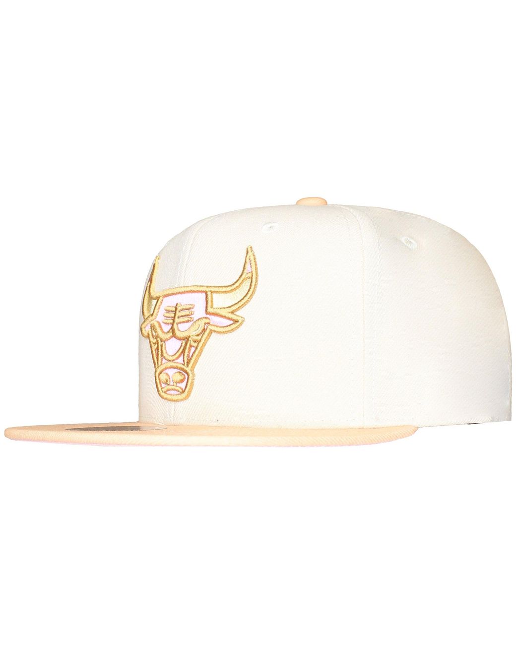 Mitchell & Ness Metallic Nba Chicago Bulls Lovers Lane Cap for men
