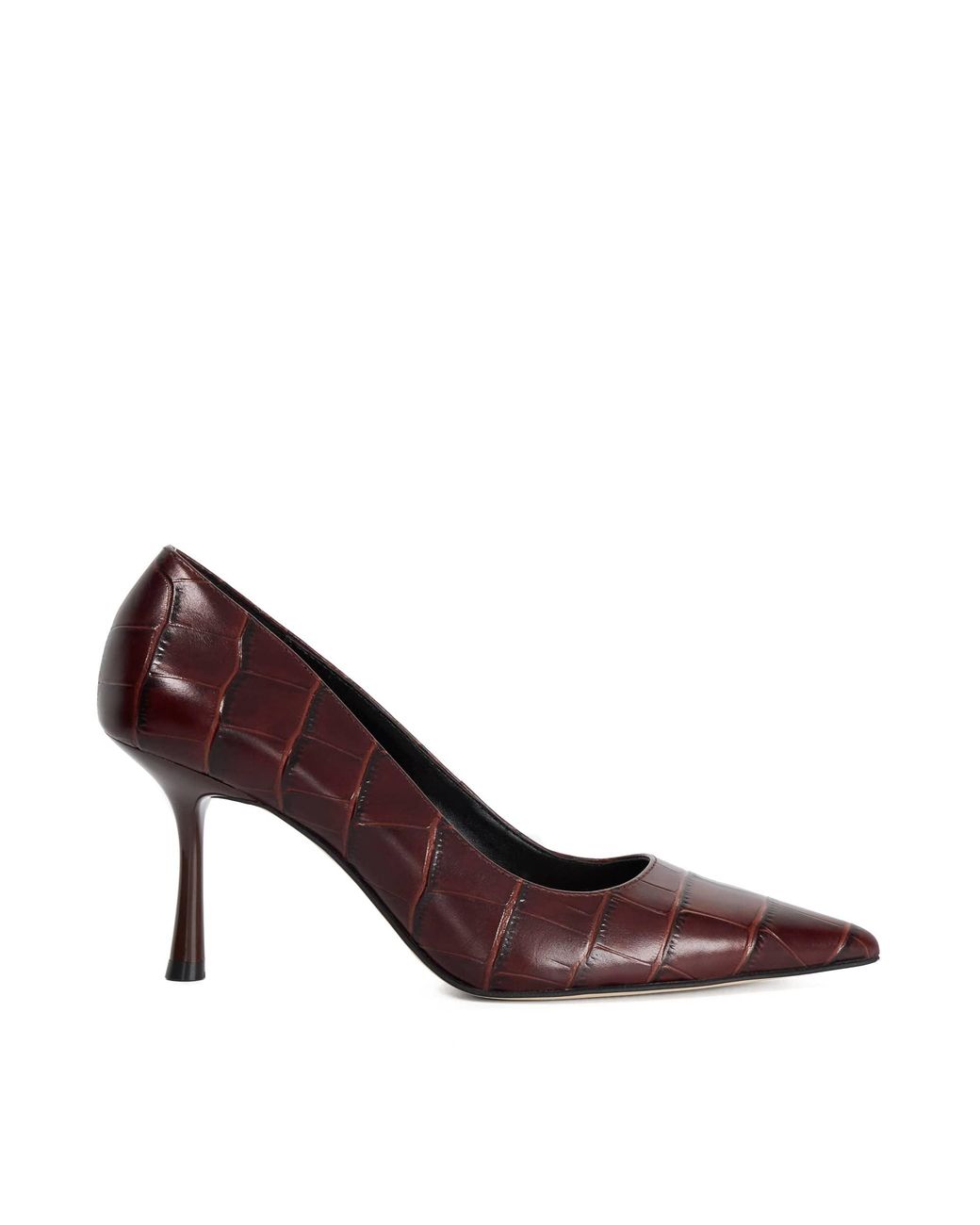 Dune Purple Ladies Blaires