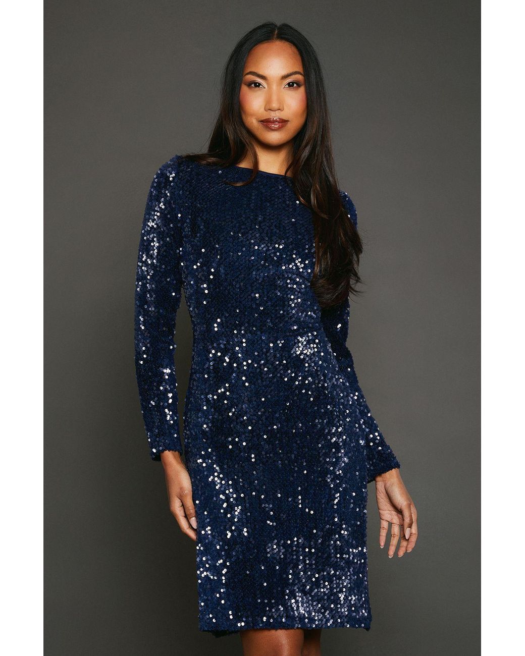 PRINCIPLES Blue Sequin Velvet Pencil Dress