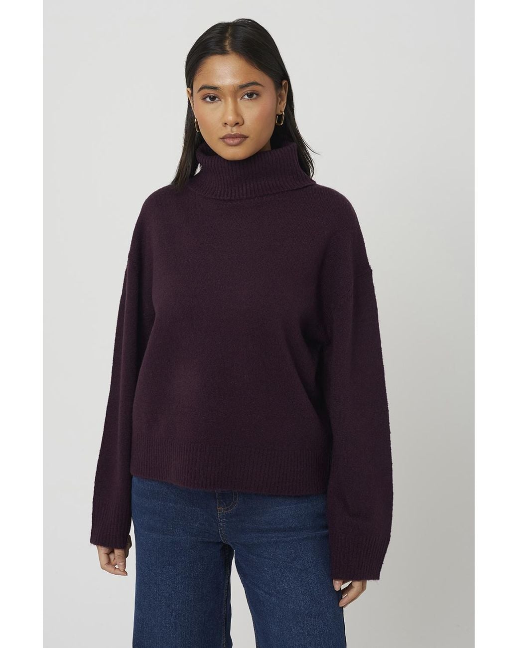 Brave Soul Blue Plum Loose Fit Roll Neck Knitted Jumper