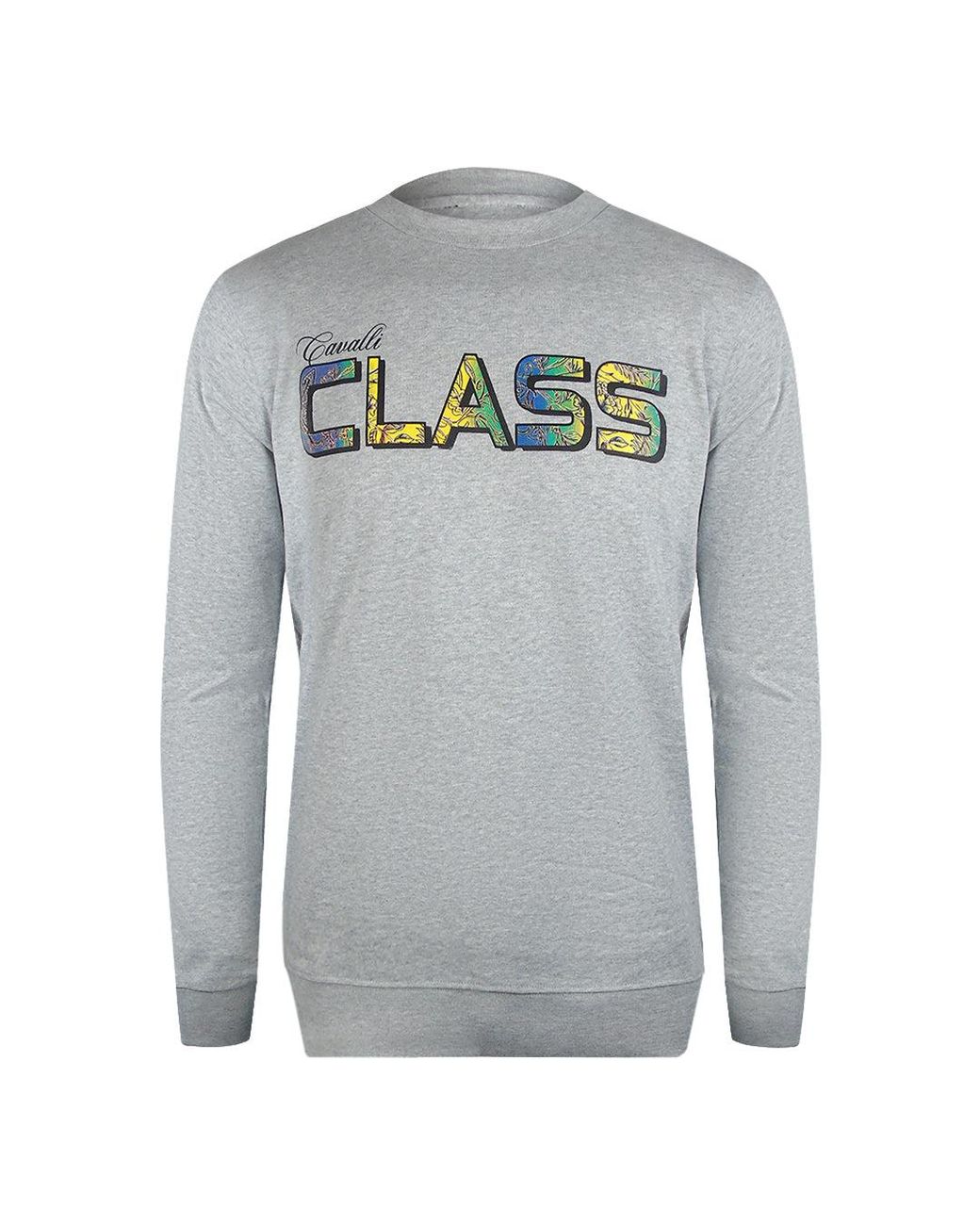 Roberto Cavalli Gray Vibrant Floral Logo Sweatshirt Cotton for men