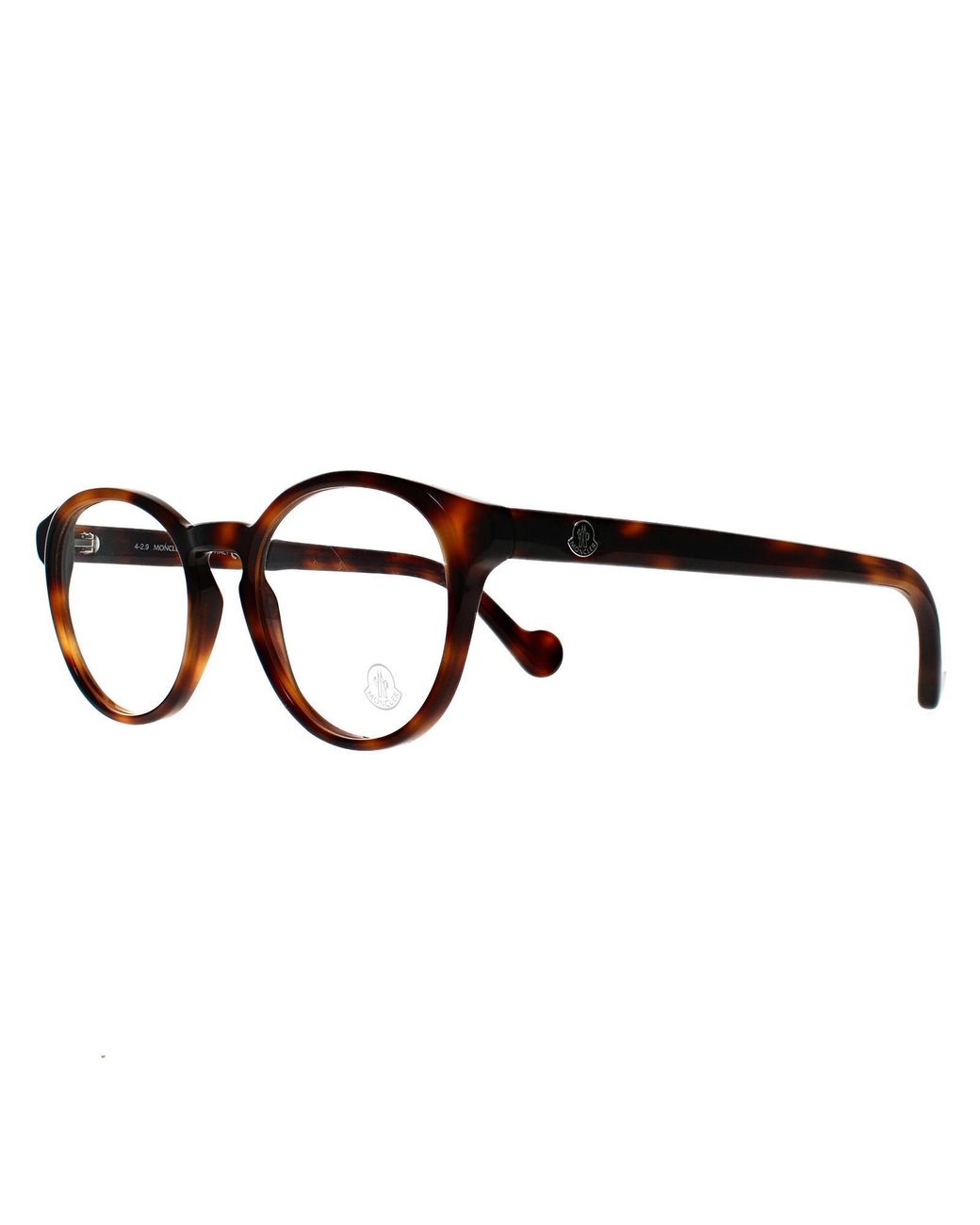 Moncler Brown Round Dark Havana Ml5053