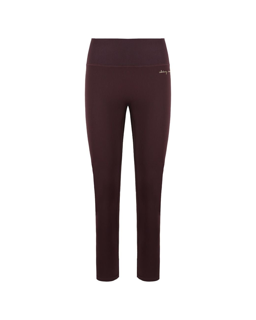 GYMSHARK Purple Whitney Simmons Leggings Nylon