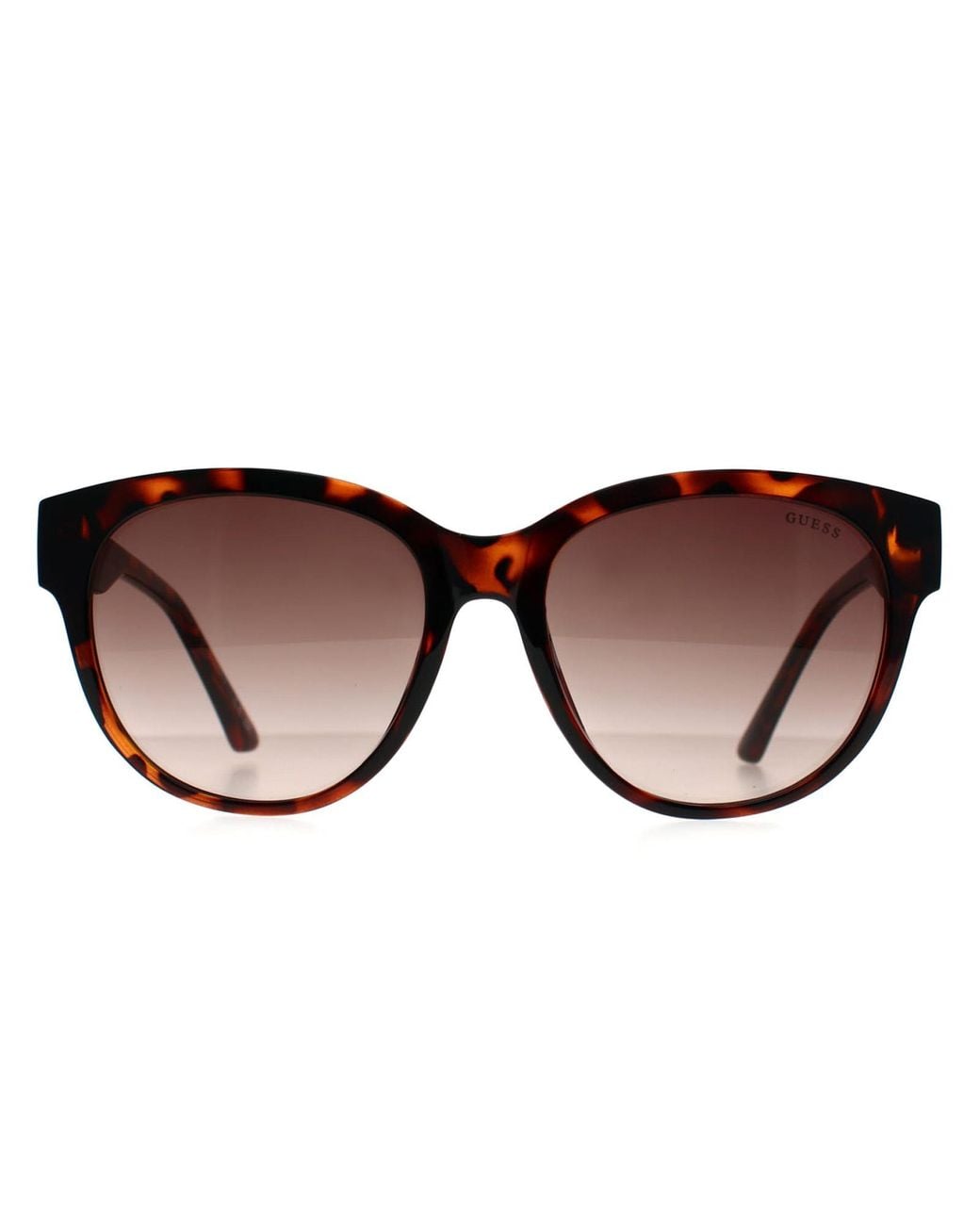 Guess Brown Cat Eye Dark Havana Gradient Gf6163