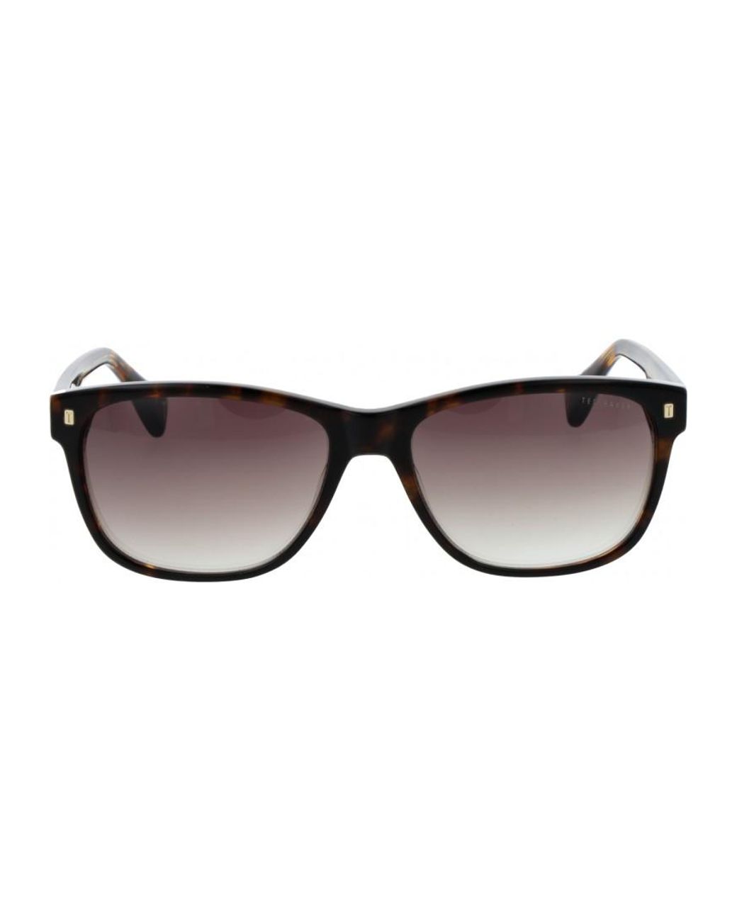 Ted Baker Brown Tb1753 58119 58 119 Sunglasses for men