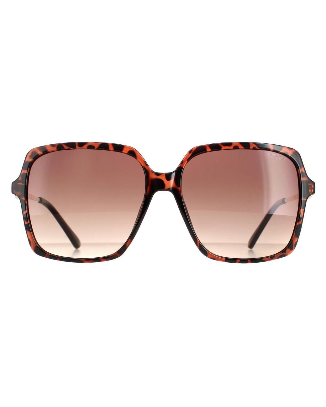 Guess Brown Square Dark Havana Gradient Gf6131