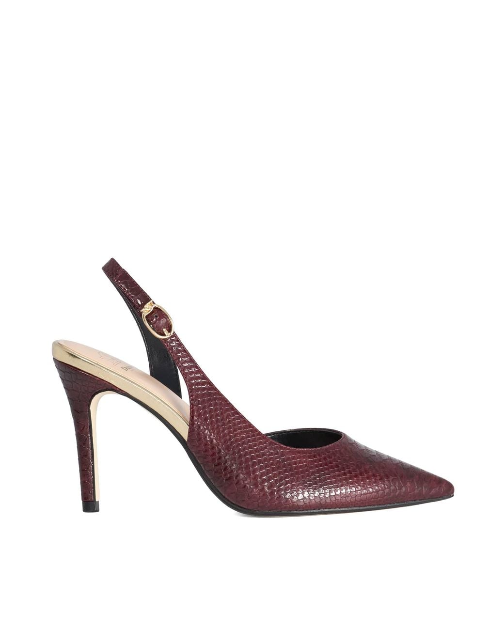 Dune Purple Ladies Carmellia
