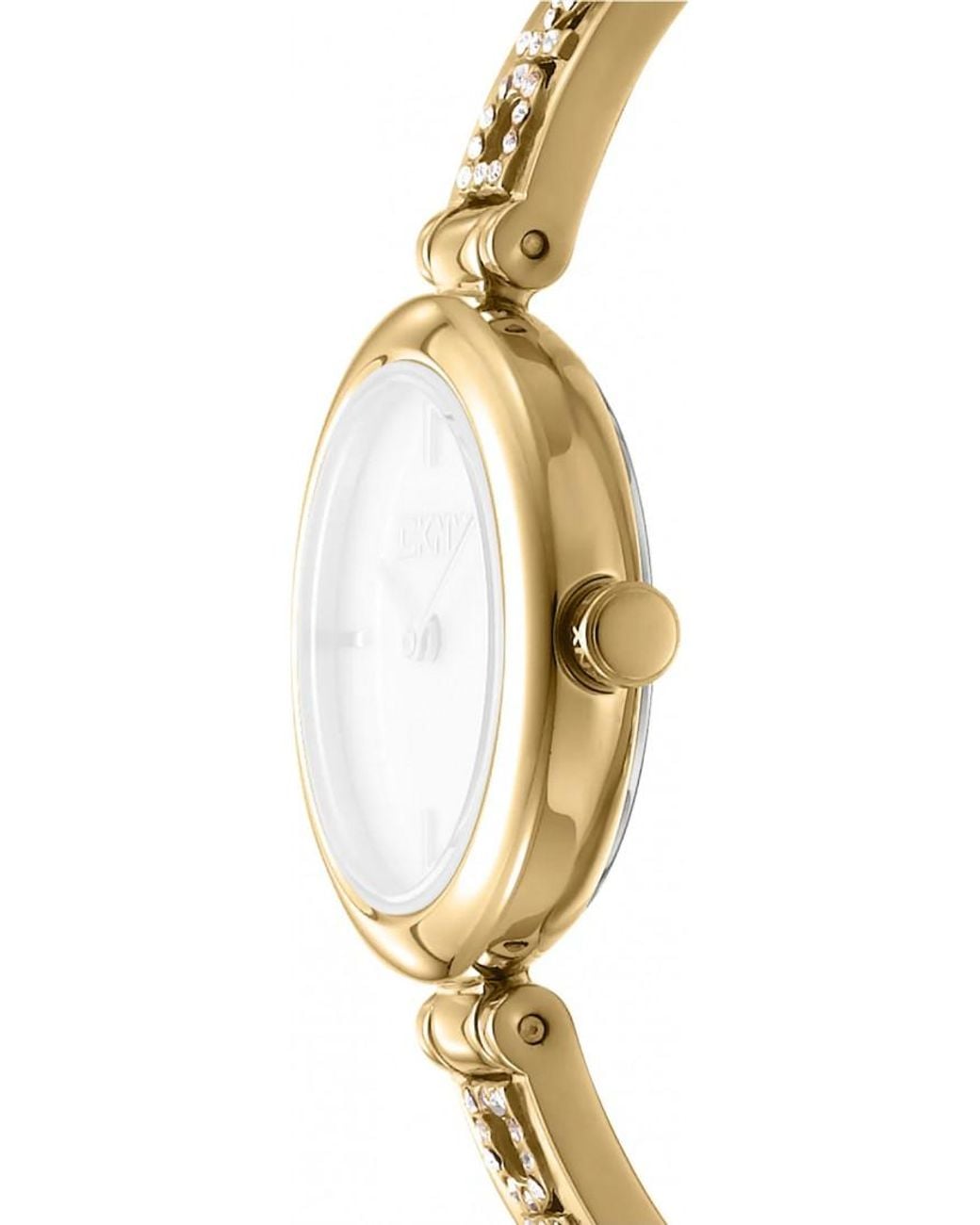 DKNY Metallic Dk1L115M0225 Ladies Watch