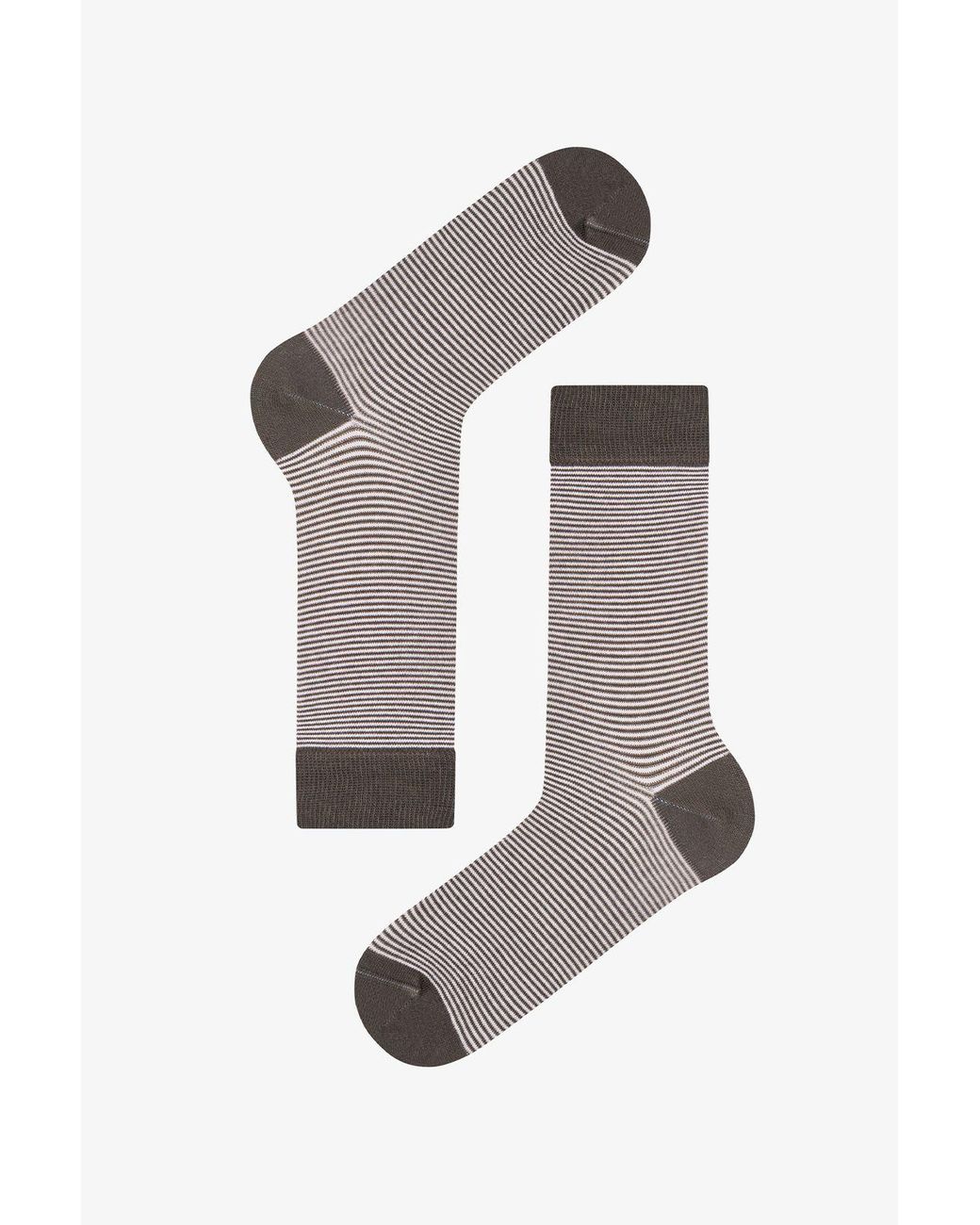 Penti Gray Forest Neutral Striped 2-Pack Crew Socks for men