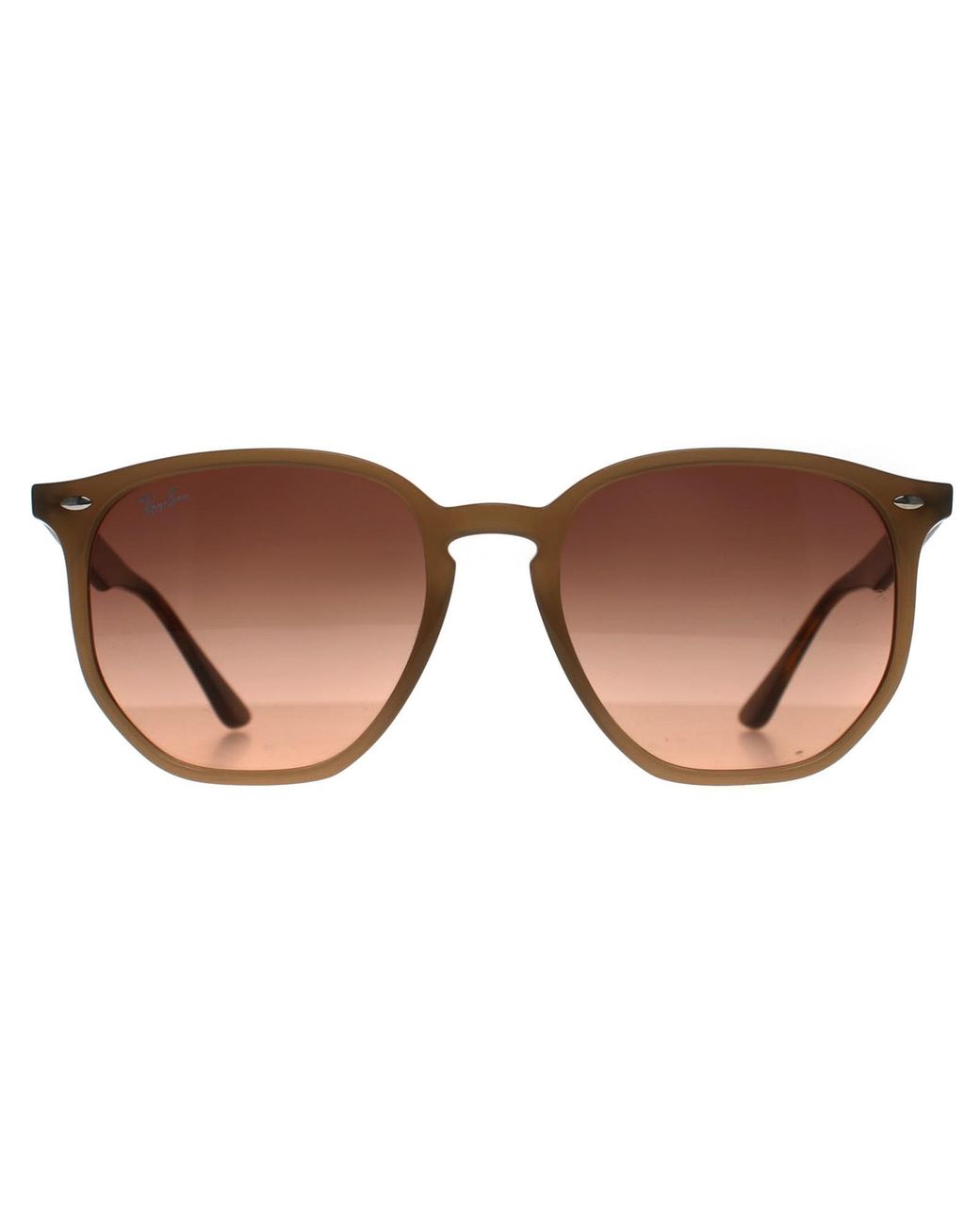 Ray-Ban Brown Round Polished Turtledove Gradient Rb4306