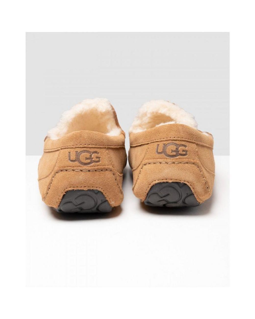 Ugg White Ascot Slipper for men