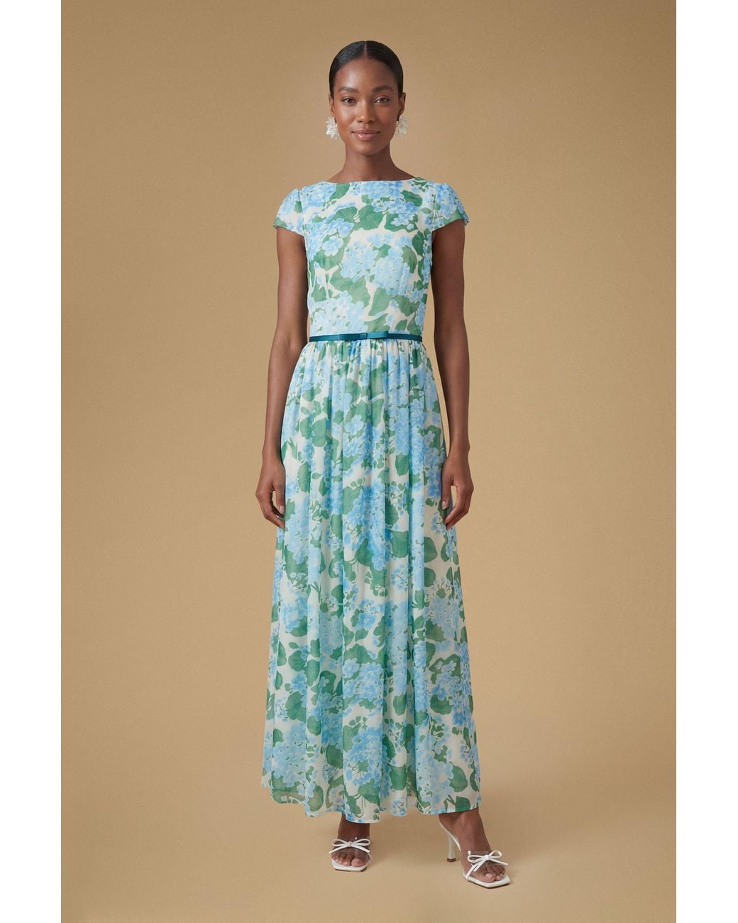Oasis Blue Cap Sleeve Hydrangea Mesh Maxi Dress