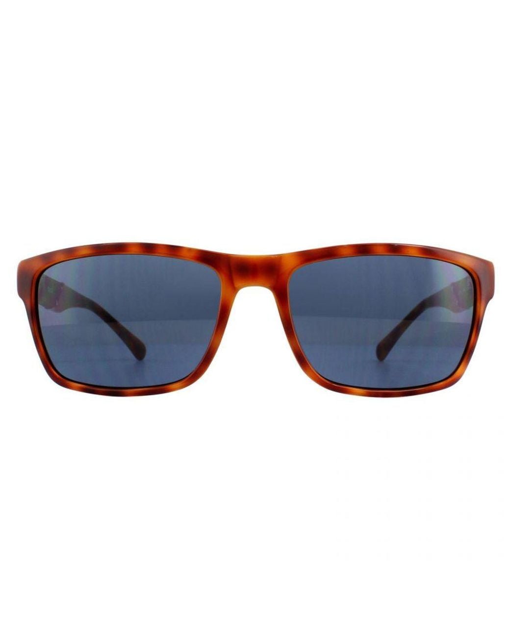 Guess Blue Rectangle Honey Tortoise Sunglasses for men