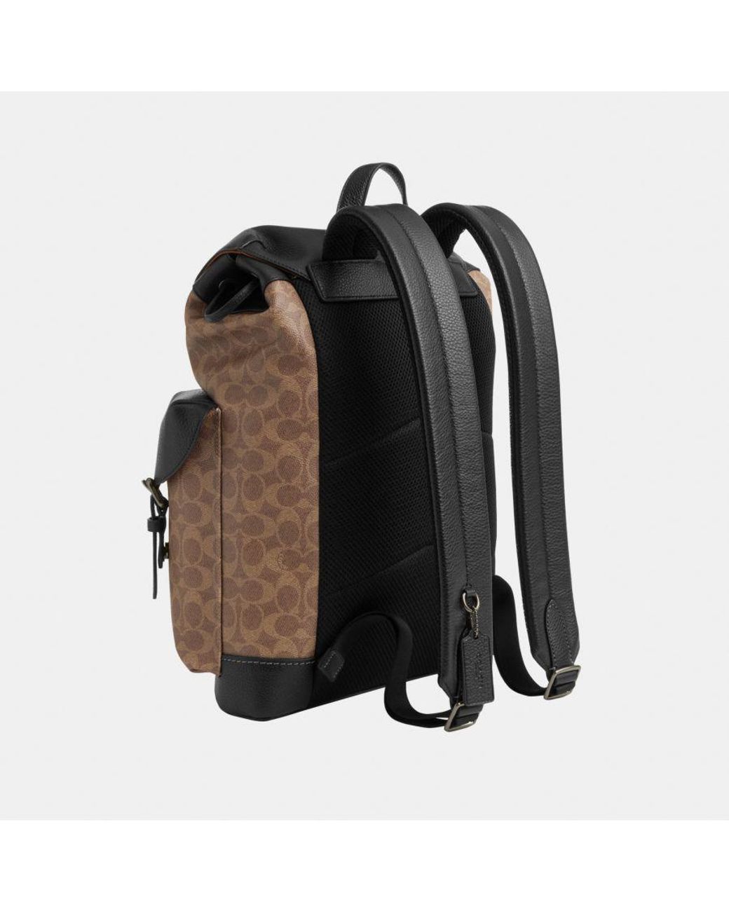 Coach backpack in signature canvas hotsell