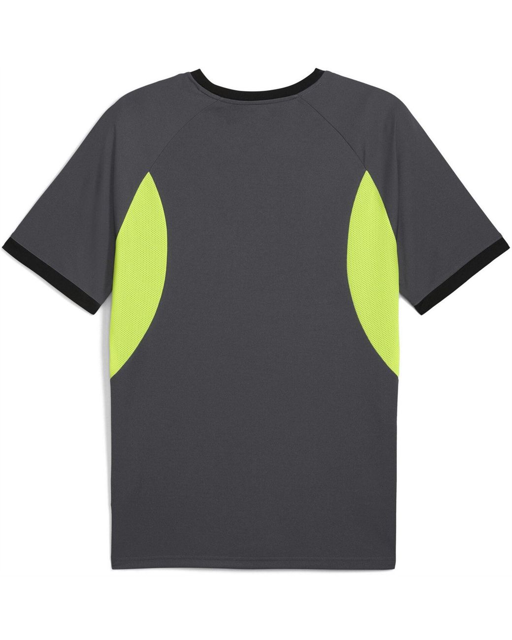 PUMA Blue Individualliga Jersey T-Shirt for men
