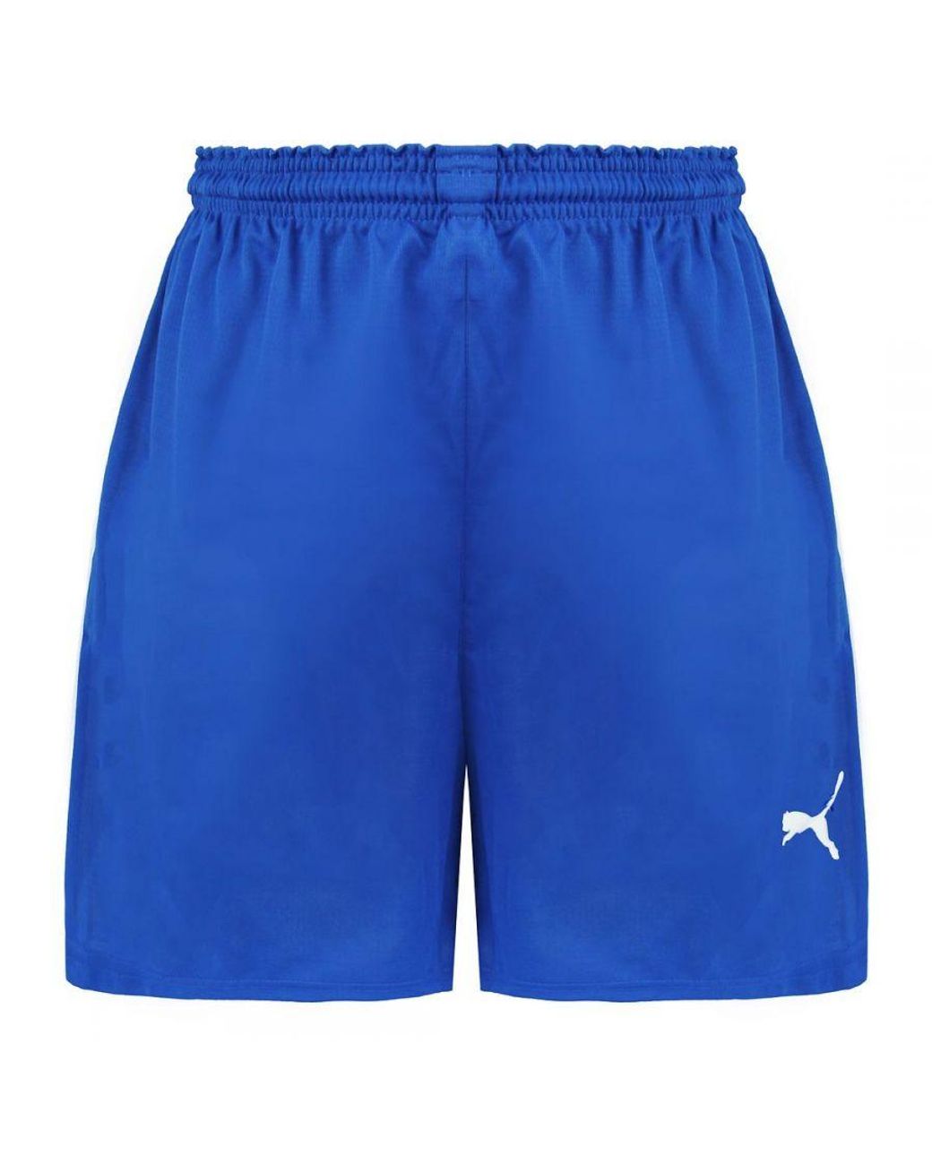 PUMA Blue V5.06 Handball Shorts