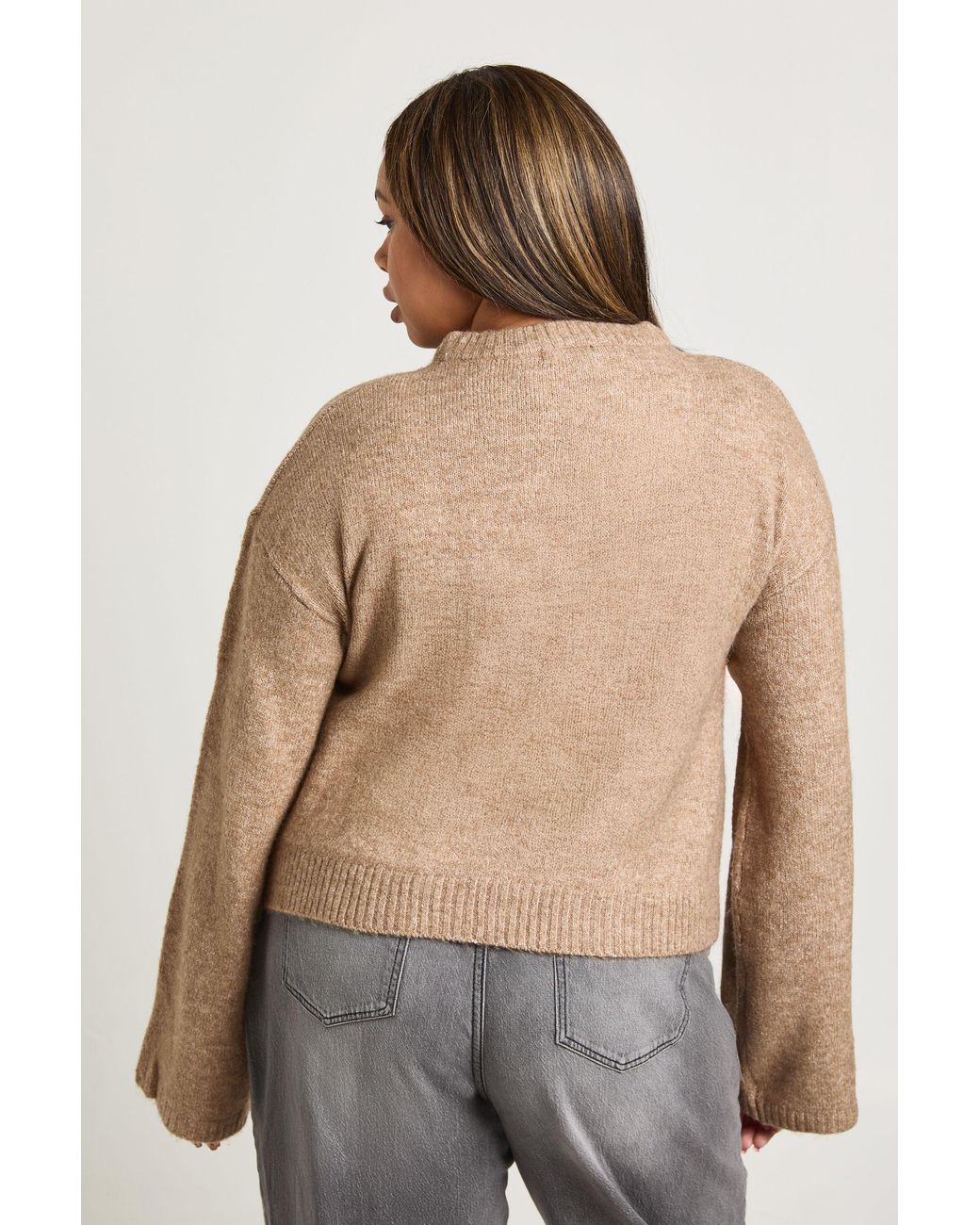 Boohoo Brown Plus Crew Neck Jumper