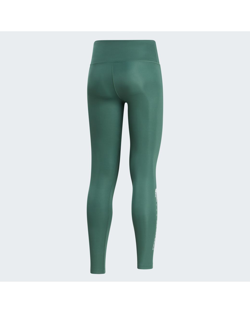The North Face Green Performance Graphic Leggings Tnf