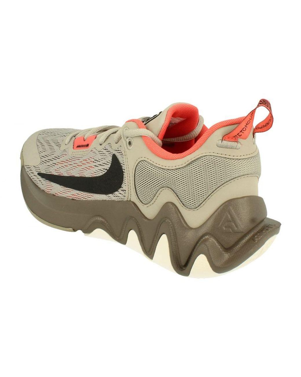 Nike Brown Giannis Immortality 2 Basketball Trainers for men