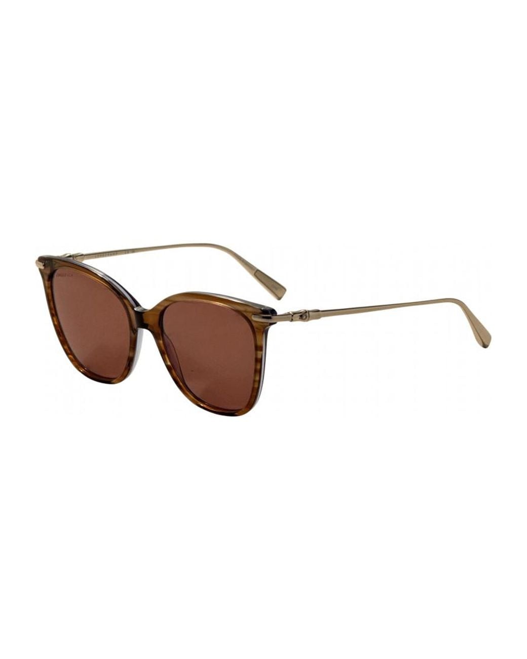 Longchamp Brown 55Mm Striped Lo757S-211