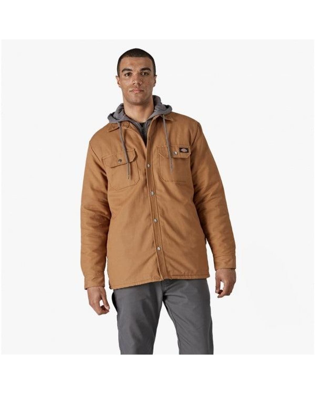 Dickies Brown Duck Hooded Jacket Cotton for men