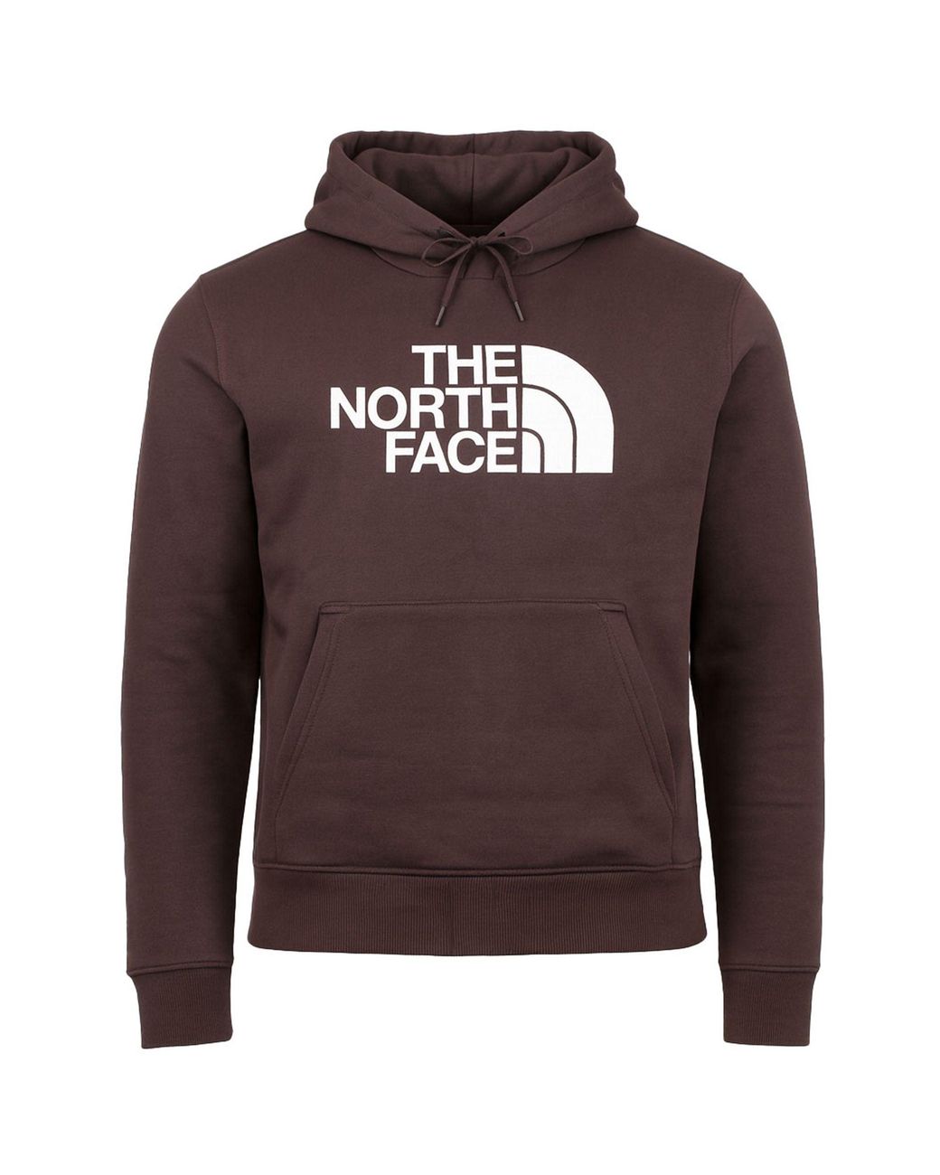 The North Face Brown Drew Peak Plv Hd Hoodie Cotton for men